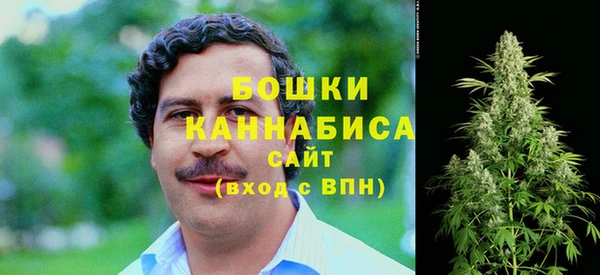 сатива Баксан
