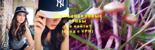 гидропоника Армянск