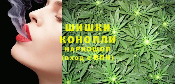 сатива Баксан